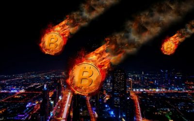 Do Not Make Bitcoin Price Predictions Lest You Eat Your Words