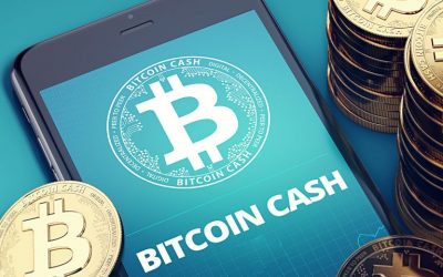 BCH Roundup: Rock Festivals, Long Form Blogging, and Prescription Drugs