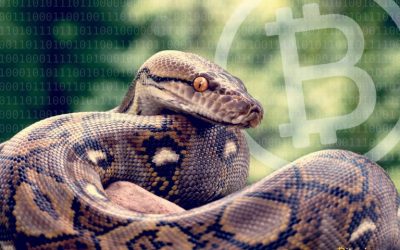 New Bitcoinpython Node Is 100X Faster Than Previous Python Libraries