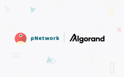 pNetwork and Algorand Officially Partner up to Build New Cross-Chain Connections