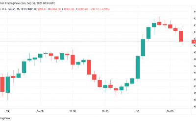 Is $40K Bitcoin the new $10K? BTC holds $43K support as exchange Bitfinex halts trading