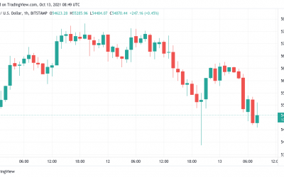 Bitcoin search interest nears 1-year lows as BTC price slips below $55K