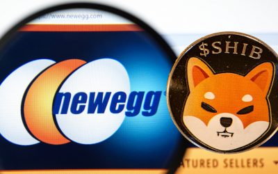 Retail Giant Newegg Confirms Shiba Inu ‘Coming Soon’ as AMC Theatres Gets Ready to Accept SHIB Payments