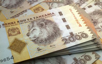 Tanzanian Central Bank Preparing for CBDC to Ensure Country Is Not Left Behind