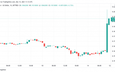 Dogecoin gains 25% after Elon Musk confirms Tesla will accept DOGE for merchandise