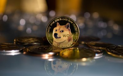 Elon Musk says Dogecoin is better suited for transactions than Bitcoin