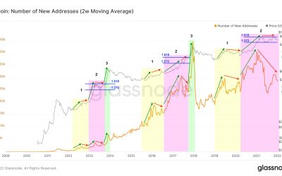 What bear market? Current BTC price dip still matches previous Bitcoin cycles, says analyst