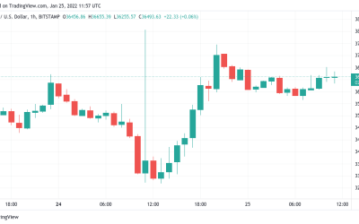 Bitcoin holds onto 10% gains ahead of crucial Fed rate hike comments