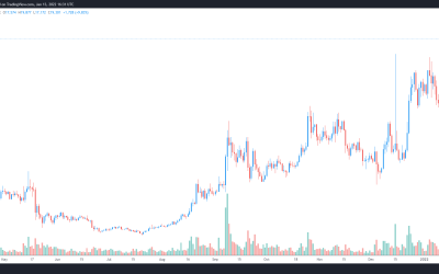 3 reasons why Near Protocol (NEAR) just hit a new all-time high