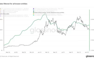 Bitcoin Whales Stay Away Even as Technical Indicator Flashes Oversold