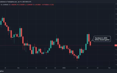 Cardano's ADA Token Leads Crypto Majors Lower, Bitcoin Nears $41K as Bond Yields Rise