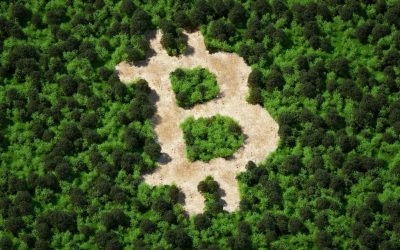 Can Crypto Go Green? How to Invest in Eco-Friendly Cryptocurrencies