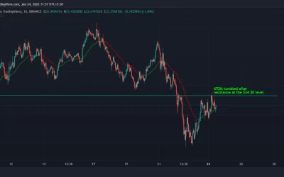 Cosmos' Token Surges 8% Amid Airdrops, Polkadot Bridge