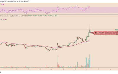 Dogecoin leaps 25% after Musk announces DOGE payments for Tesla merch