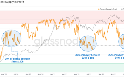 Bitcoin hodlers ‘under siege’ at $42K as 30% of BTC supply flips from profit to loss