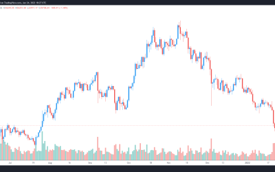 Analysts say Bitcoin’s bounce at $36K means ‘it’s time to start thinking about a bottom’