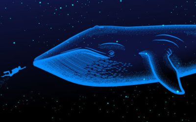 Whale Watch: A Deep Dive Into the Concentrations of Large Crypto Holders