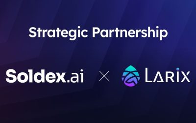 Soldex, Solana-built Decentralized Exchange Partners with Larix Protocol