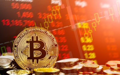 Market highlights February 16: Bitcoin battles global uncertainty at $44K