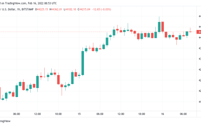 Bitcoin price circles $44K as analyst asks, ‘Who remains to sell here?’