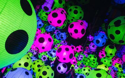 Enjin Launches Polkadot Parachain for NFTs and Gaming