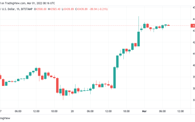 $300M in crypto liquidations accompanies Bitcoin’s surge to $44K