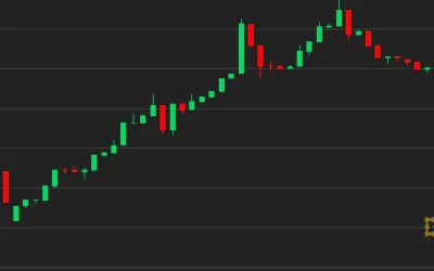 Bitcoin Resilient as Commodity Prices Inflate, Dollar Strength May Hurt