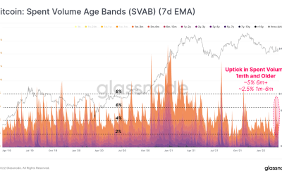 Short term Bitcoin buyers transition to long term holders: Glassnode