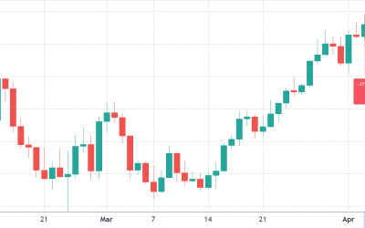 Pro traders turn into bears after Ethereum price dropped to $3,200