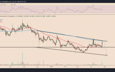 Dogecoin price risks 40% correction despite Elon Musk-Twitter euphoria