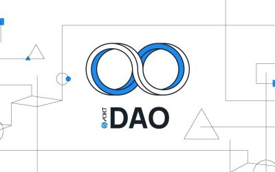 Pocket DAO Passes Two Key Proposals on Node Incentives