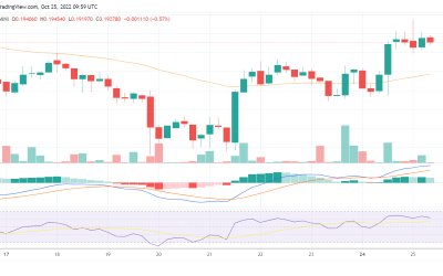 CHZ rallies by 8% after Chiliz announced the Scoville Testnet Phase 4 is now live