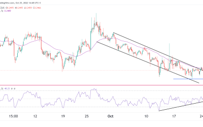 IOTA price forecast: Will this fallen angel ever rebound?