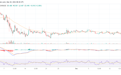 Why is MINA outperforming the broader cryptocurrency market today?