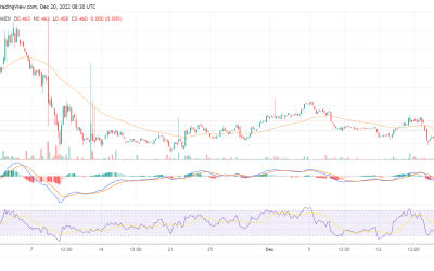 IMX surge by 10% after the WAGMI NFT launch on Immutable X