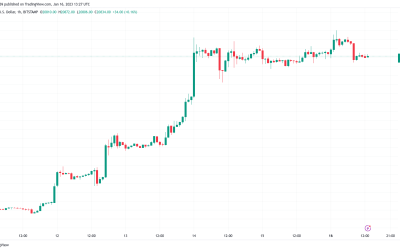 Bitcoin price breakout or bull trap? 5K Twitter users weigh in