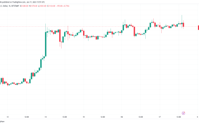 ‘To the moon’ or ‘total crash’? Bitcoin price hits new 4-month highs