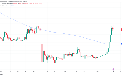 BTC price cancels FTX losses — 5 things to know in Bitcoin this week