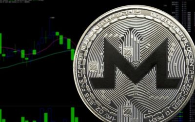 Biggest Movers: XMR, DOT Move Higher, Rebounding From Recent Declines