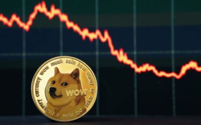 Biggest Movers: DOGE Loses Five Days’ Worth of Gains on Wednesday