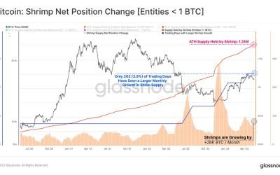 Bitcoin supply held by shrimps hits all-time high of 1.31 BTC