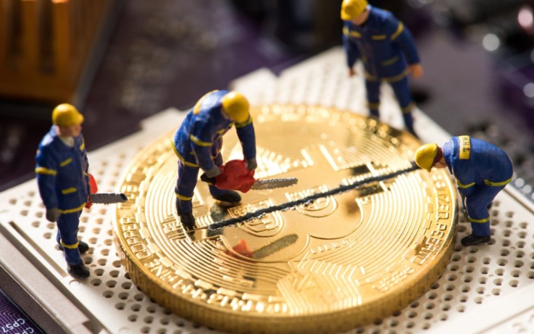 Bitcoin Miners Remain Optimistic About Future Despite Anticipated Revenue Loss