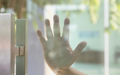 Humanity Protocol raises $30M for palm-based digital identity