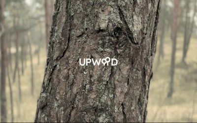 Upwood.io Launches First Security Token Offering, Revolutionizing Forest Asset Investments