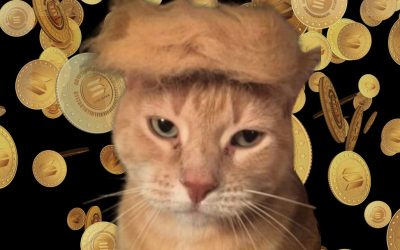 “Meowing America Great Again” – This new cat-meets-Trump PolitiFi memecoin launches today