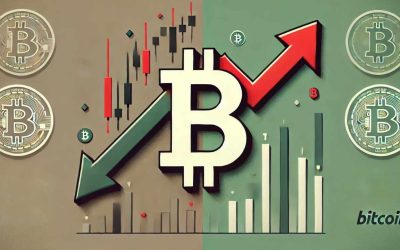 Bitcoin 2024 Forecast: Experts Split on $125K Bullish or $40K Bearish BTC Outlook