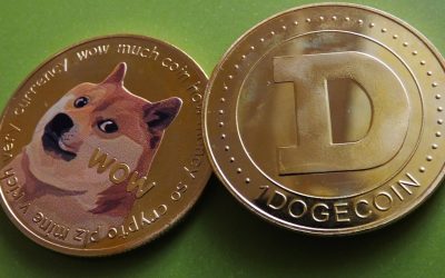 DOGE Nears 50 Cents as Meme Coins Dominate