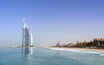 Dubai’s SEE Institute and Cardano Foundation Collaborate to Advance Blockchain-Powered Sustainability