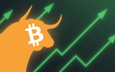 Fundstrat’s Tom Lee Predicts Bitcoin Bull Market Surge Due to Supply Shock