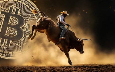 Is the Bitcoin Bull Market Over? Analysts Weigh In